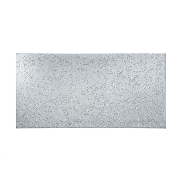 ACP WP96X48NEAS