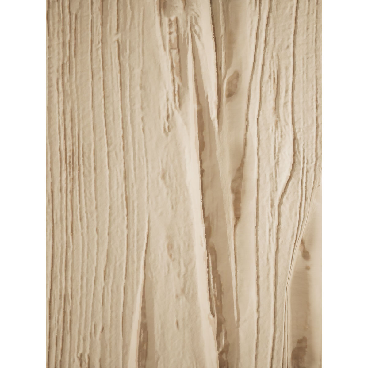 Ekena Millwork SAMPLE-KIT-BMRWSD 10-Inch x 7-Inch SAMPLE - Riverwood ...
